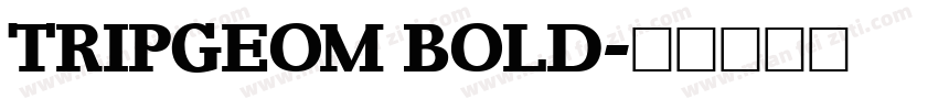 TRIPGEOM BOLD字体转换